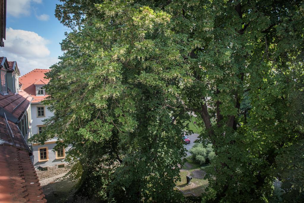 "Goethezimmer" Ferienwohnung Und Zimmer Am Burgplatz Weimar  Esterno foto